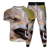 3D Wolf Shirt Pant Set