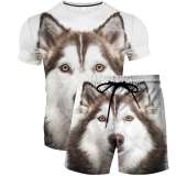 Wolf Shirt Shorts Set
