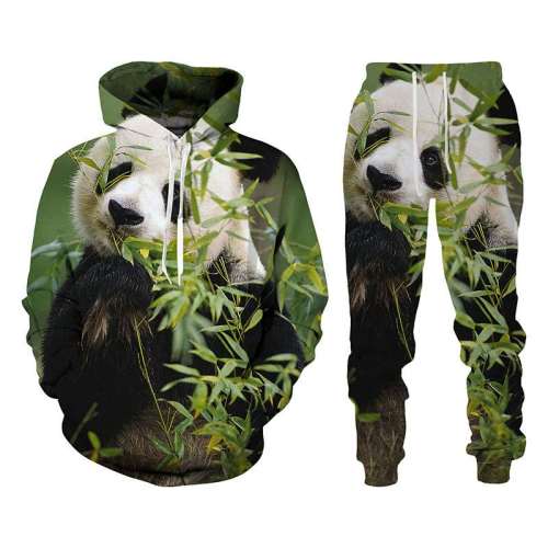 Panda Hoodie Pant Set
