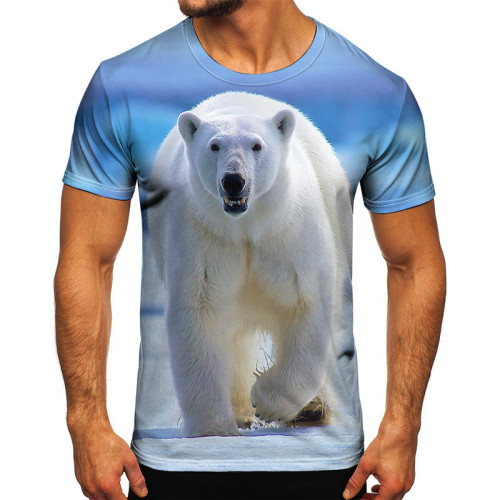Polar Bear Shirts