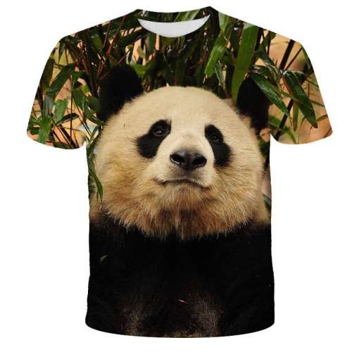Bear Panda T shirt