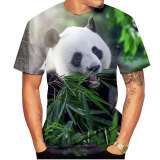 Panda Bear Shirts