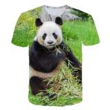 Panda Bear T shirt