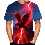 Eagles T shirt