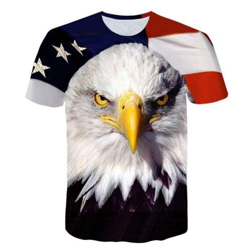 American Eagle Oversized Shirt