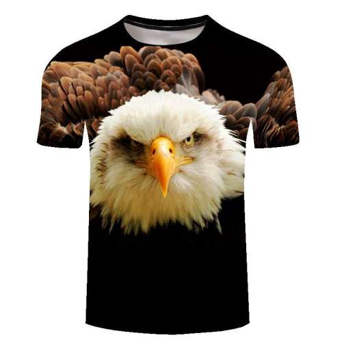 American Eagle T shirts Men