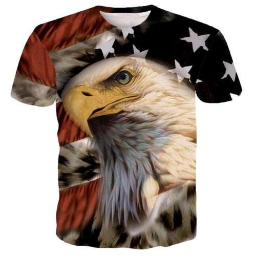 American Eagle Oversized Shirt