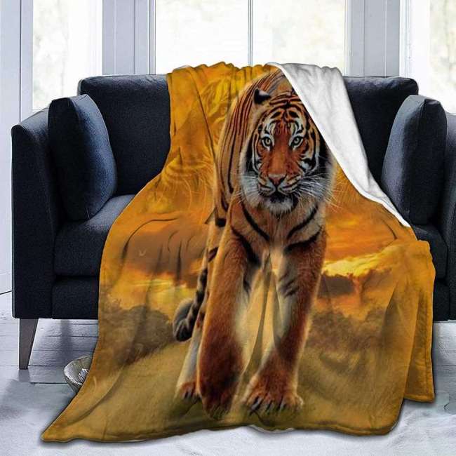 Mexican Blanket Tiger