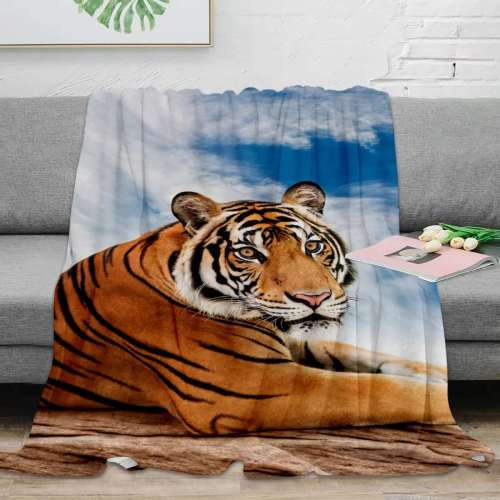 Tiger Blanket Mexican