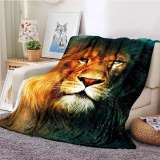 Blanket Lion King