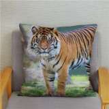 Tiger Pillowcase