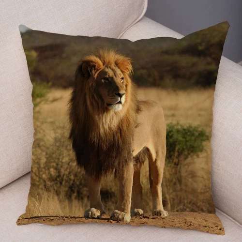 Lion King Cushion Cases