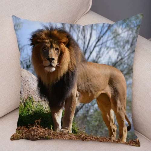Lion Pattern Cushion Covers