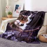 Wolf Blanket Dreamcatcher
