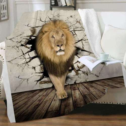 Lion Blanket Mexican