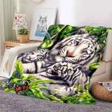 Giant Tiger Family Blanket
