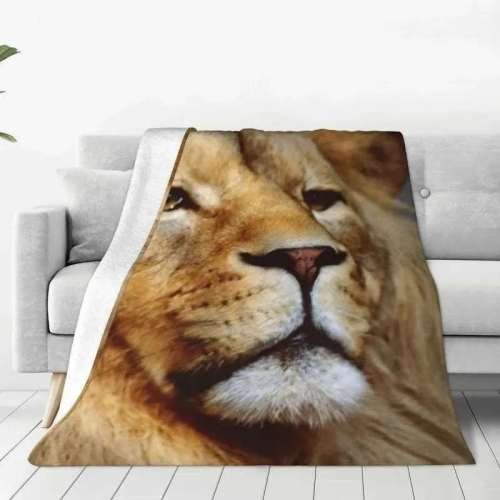 Leo Lion Blanket
