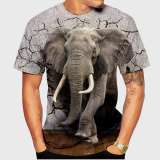 Family Matching T-shirt Elephant T-Shirt Design