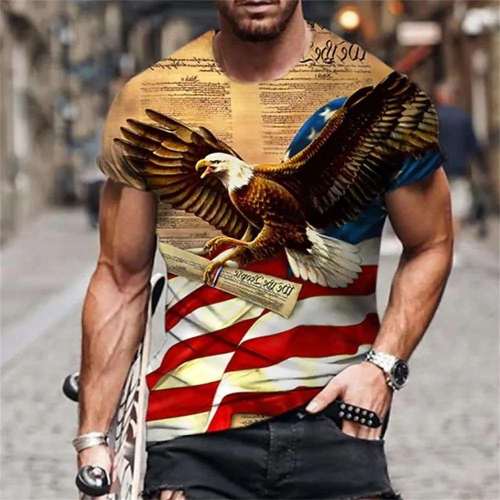Mens American Eagle T-Shirt