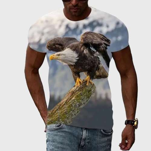 American Eagle Shirt Men