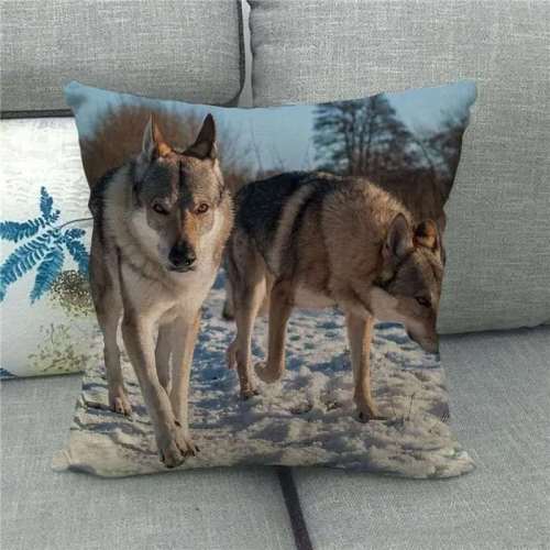 Pillowcase Wolf Packs