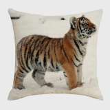 Cute Tiger Cushion Cover