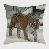 Tiger Cushion Cover