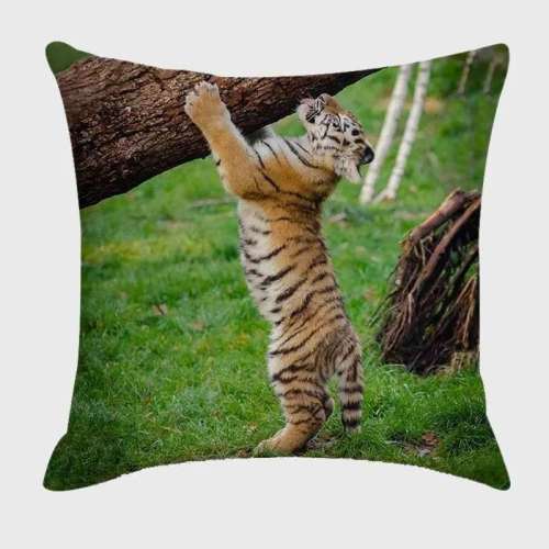 Tiger Cushion Cover