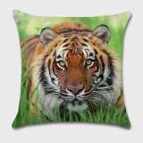 Tiger Pillow Cases