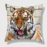 Funny Tiger Cushion Covers
