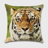 Bengal Tiger Cushion Cases