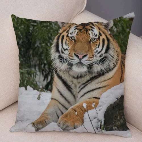 Bengal Tiger Pillow Cases