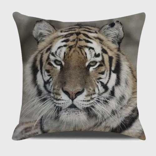 Tiger Face Pillowcases