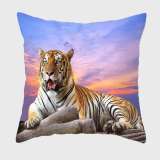 Cute Tiger Cushion Covers