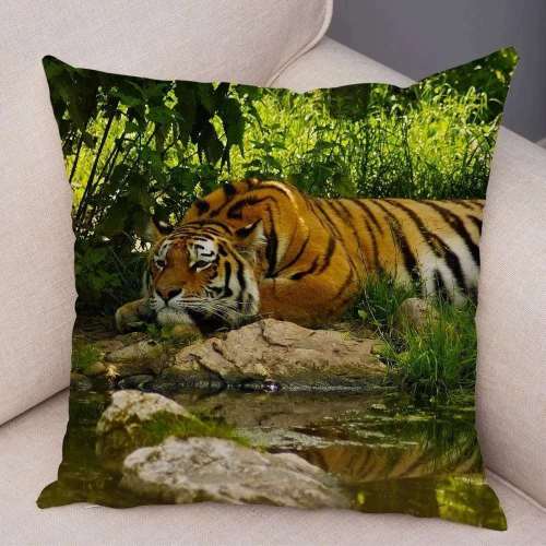 Cute Tiger Pillow Cases
