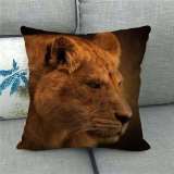 Lion Pillowcase