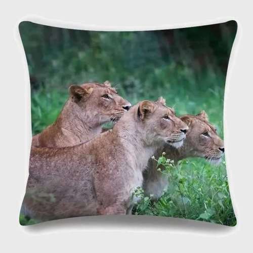 Lioness Packs Pillow Case