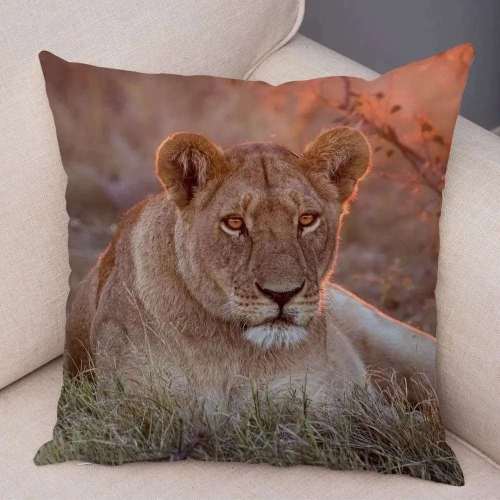 Lioness Pillow Cover