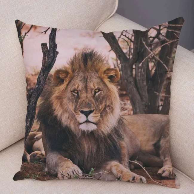 Male Lion Pillow Cover