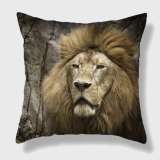 Lion Pillow Case