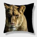 Lioness Pillow Case