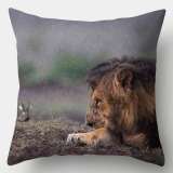 Lion Pillowcases