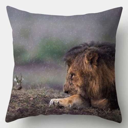 Lion Pillowcases