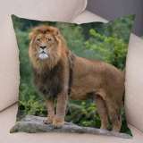 Lion Cushion Cases