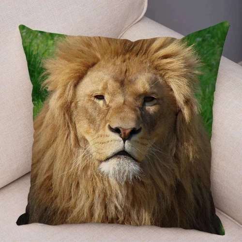 Lion Face Cushion Cases