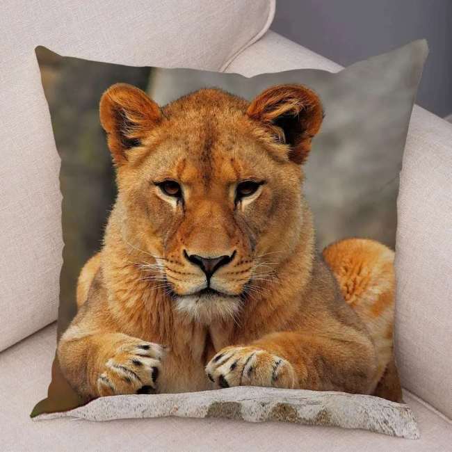 Lioness Cushion Cases