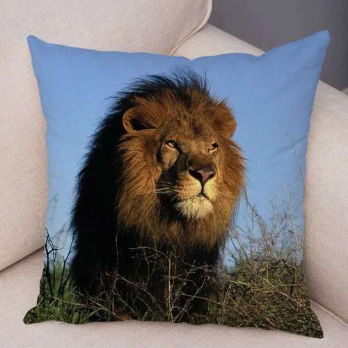 Lion Cushion Cases