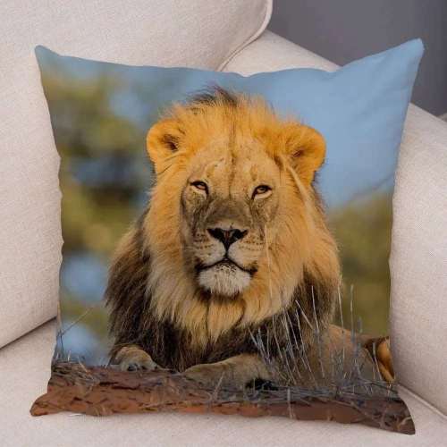 Lion Pattern Cushion Covers