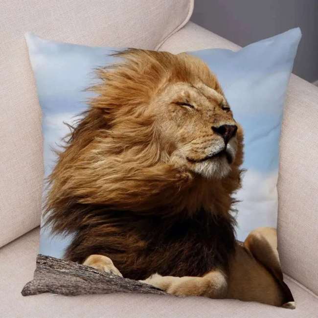 Cool Lion Cushion Cases