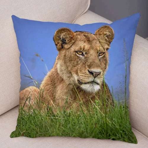 Lioness Cushion Cases